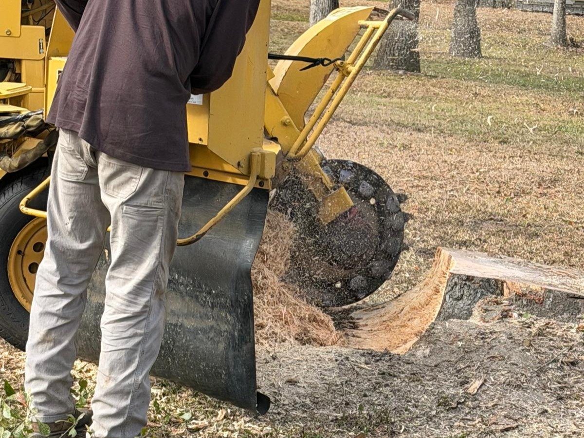 El Costeño Tree Service LLC